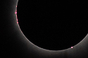 Eclipse totality, prominences visible.