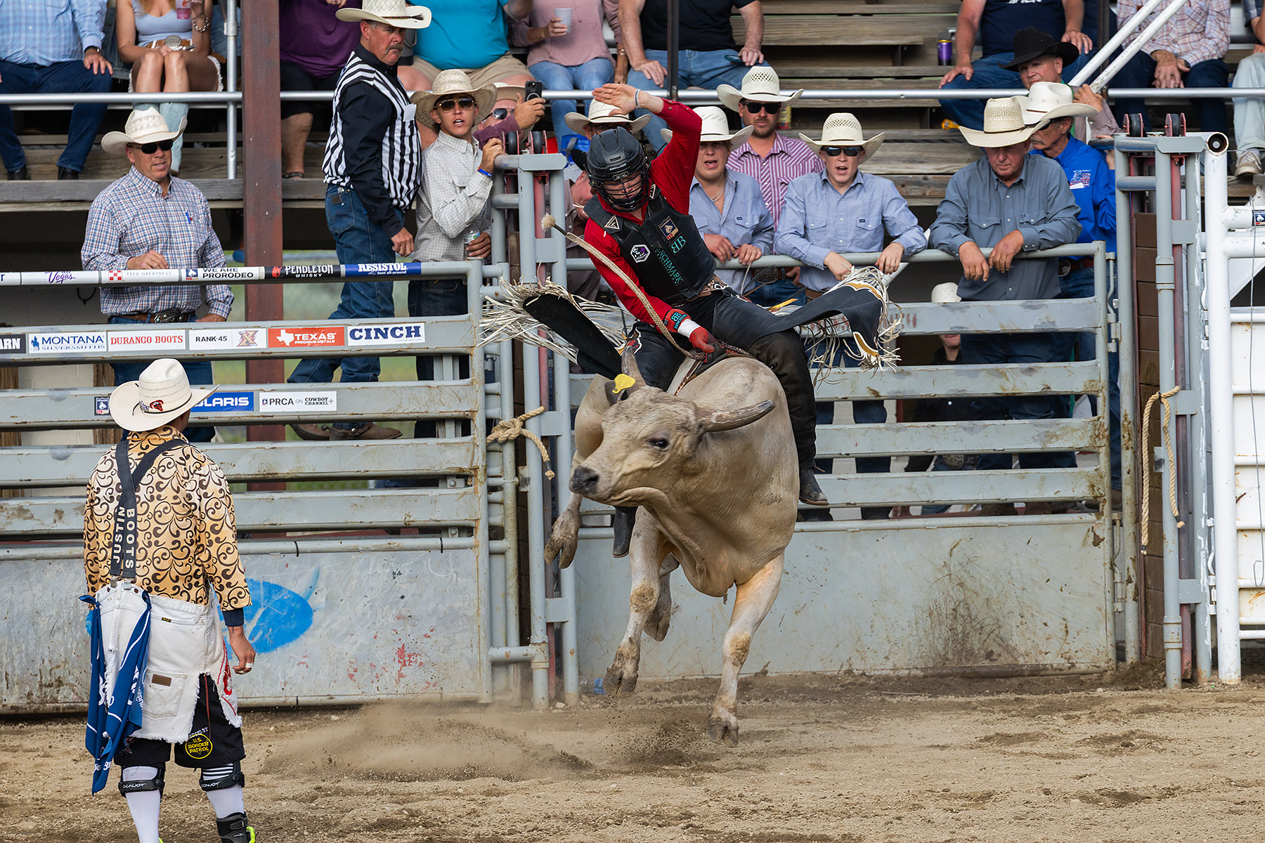Xtreme Bulls, Red Lodge, MT.  Click for next photo.