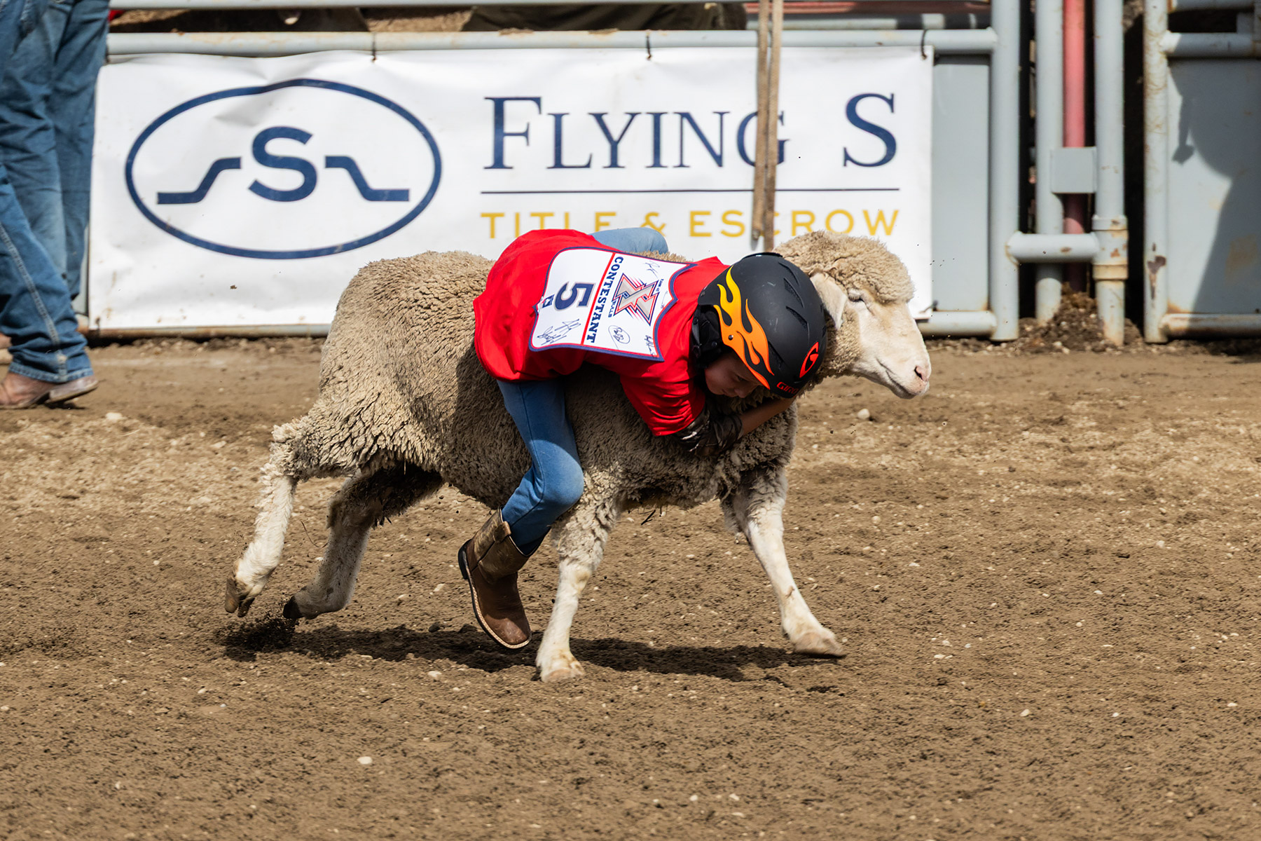 Home of Champions Rodeo, Red Lodge, MT.  Click for next photo.