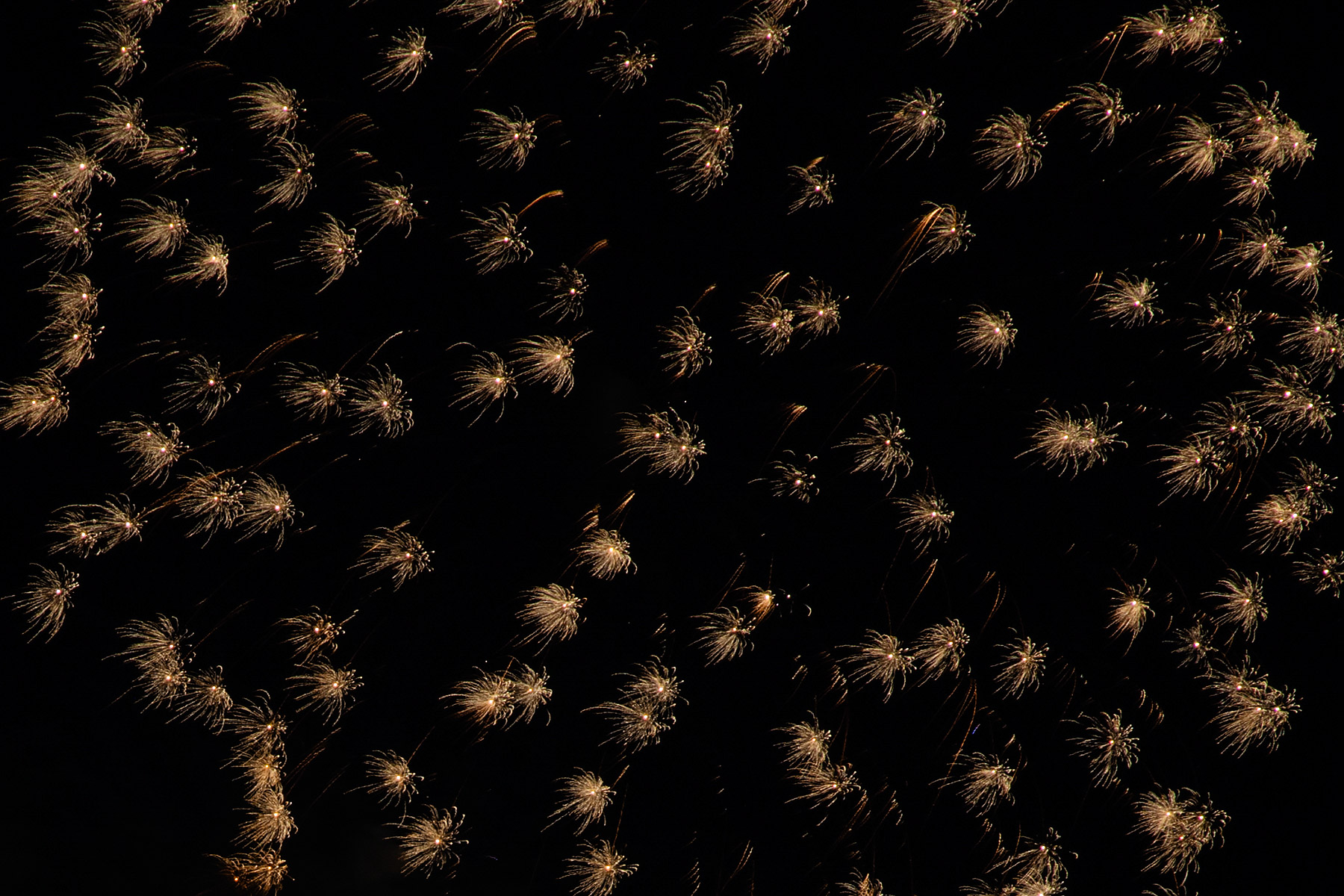 Fireworks, Red Lodge, MT.  Click for next photo.
