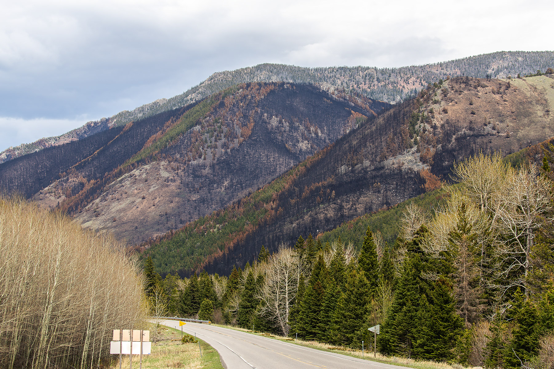 Snow helped knock down the East Side Fire, but nearly a month later it is still officially only 70% contained and crews are still searching for hot spots.  Image taken from US 212 south of Red Lodge.  Click for next photo.